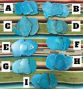 Turquoise Buckle