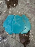 Turquoise Buckle