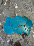Turquoise Buckle
