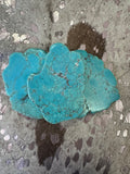 Turquoise Buckle
